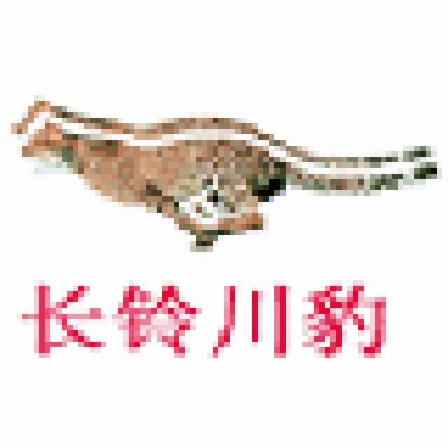 三轮摩托|自卸三轮摩托|载重三轮摩托|三轮电动车|浙江长铃川豹摩托车有限公司