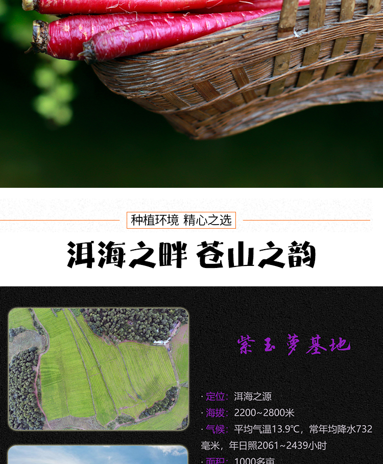 未标题-1_04.jpg
