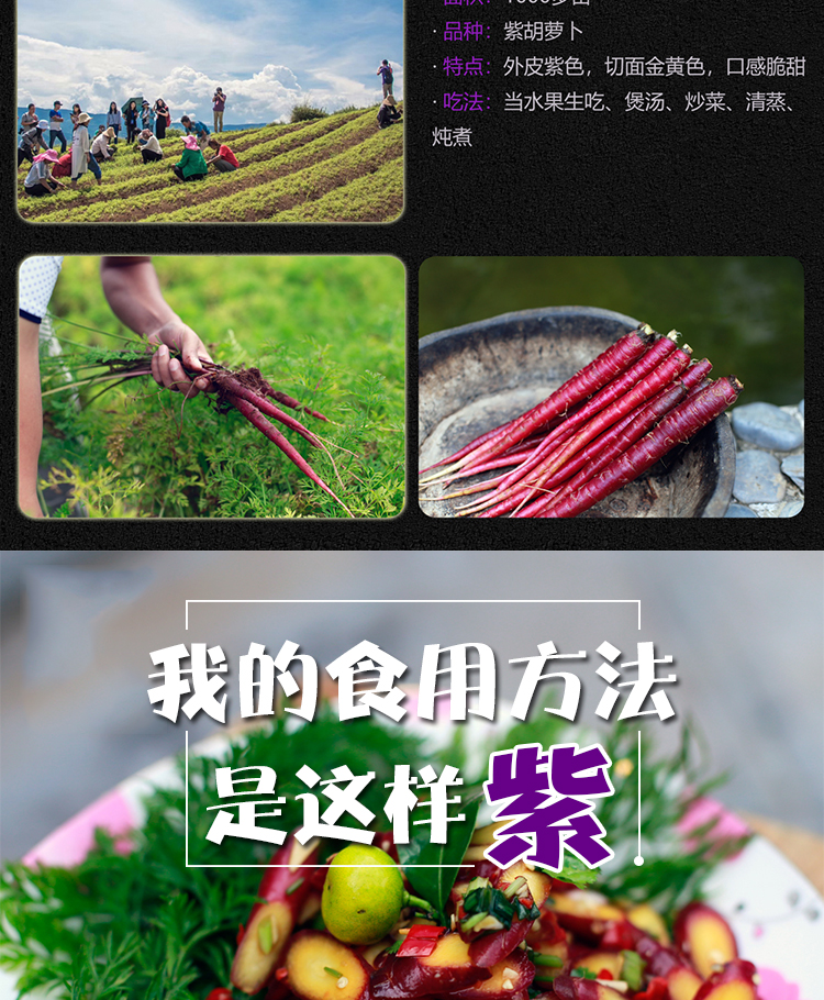 未标题-1_05.jpg