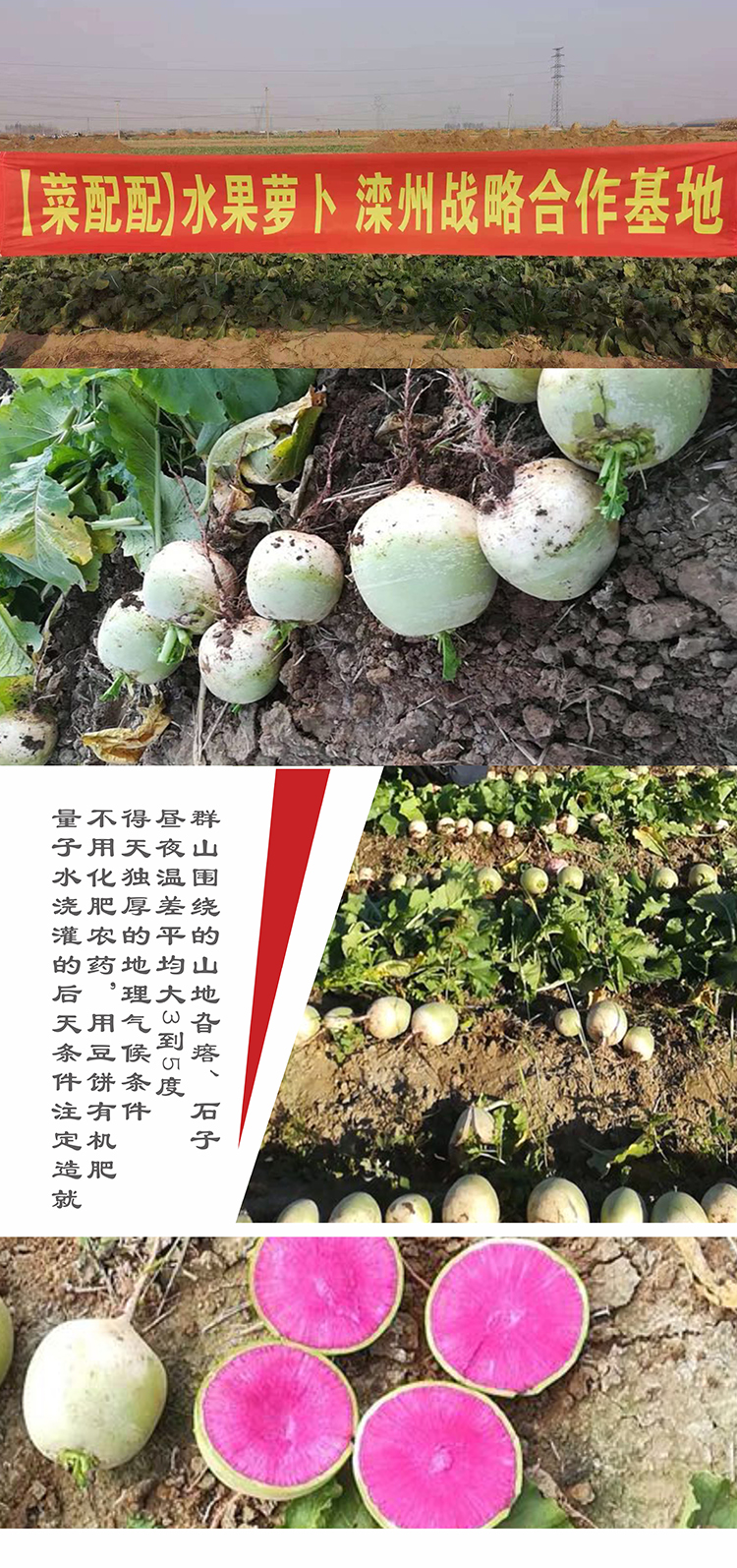详情页 (2).jpg