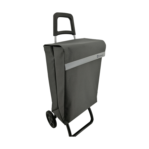 Normal style shopping trolley ELD-S403