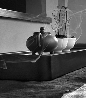 茶有七品-品风