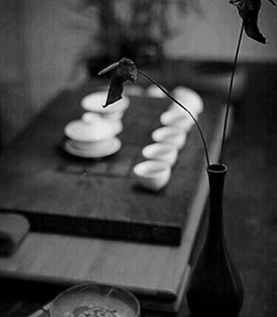 茶有七品-品茗