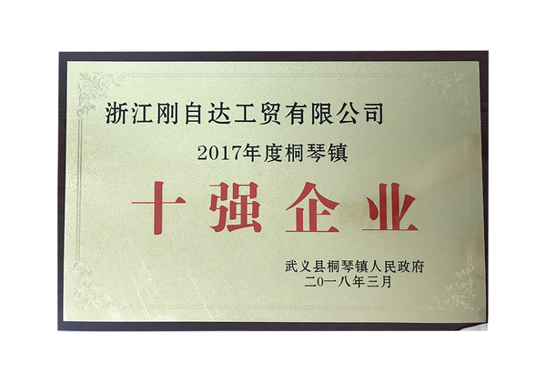 2017年度桐琴镇区十强企业