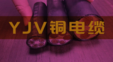 夹缝中生存的铜电缆厂家【杭州安信】