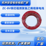 中策10平方ZC-BV阻燃铜芯线 单芯硬线厂家直销 -ZC-BV10平方