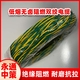 中策WDZB-RYJS 3芯雙絞線 消防線廠家直銷(xiāo)批發(fā)-WDZB-RYJS 3芯雙絞線