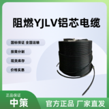 中策ZR-YJLV阻燃铝芯电缆 1×400平方国标铝电缆厂家 -ZR-YJLV 1×400平方