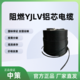 中策ZR-YJLV阻燃铝芯电缆 1×400平方国标铝电缆厂家-ZR-YJLV 1×400平方
