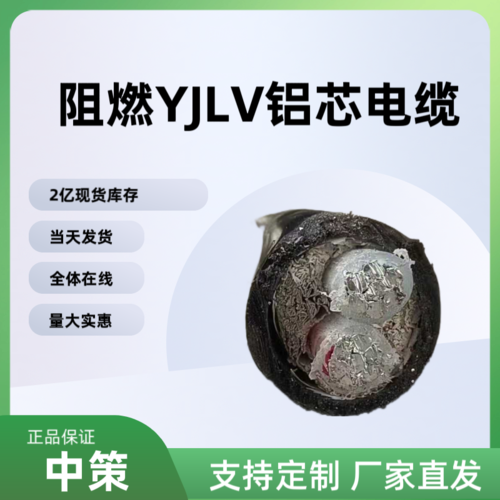 中策阻燃ZR-YJLV铝芯电缆 2×10平方阻燃电缆厂家直销-ZR-YJLV  2×10平方