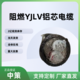 中策阻燃ZR-YJLV铝芯电缆 2×10平方阻燃电缆厂家直销-ZR-YJLV  2×10平方