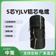 中策3×35+2×16平方ZR-YJLV阻燃铝芯电缆厂家批发-ZR-YJLV 3×35+2×16平方