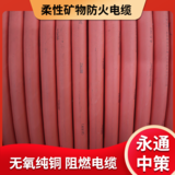 永通中策柔性矿物防火电缆 BBTRZ 3×25+2×16平方新能源电缆厂家 -BBTRZ 3×25+2×16平方