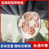 永通中策国标低烟无卤电缆 WDZB1-YJY 4×35+1×16平方高阻燃电缆厂家 - WDZB1-YJY 4×35+1×16平方