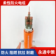 永通中策矿物质电缆 国标BTTRZ 4×25+1×16平方柔性防火电缆厂家-BTTRZ 4×25+1×16平方