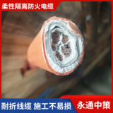 永通中策国标 NG-A（BTLY）3×70+2×35平方隔离矿物质防火电缆 -NG-A（BTLY）3×70+2×35平方