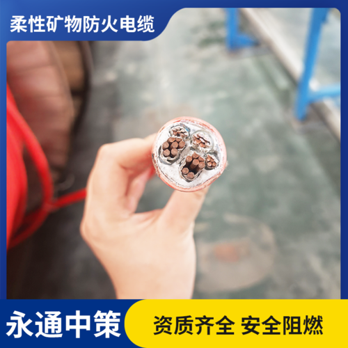永通中策柔性防火电缆 BBTRZ 4×16+1×10平方 新能源矿物绝缘电缆厂家- BBTRZ 4×16+1×10平方