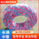 永通中策低烟无卤电线 WDZB1N-RYJS 2×4平方耐火消防双绞线厂家-WDZB1N-RYJS 2×4平方