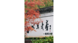 “以写武义”沉浸艺术展