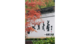 以写武义 (1)