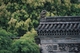 璟园 (35)