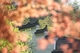 璟园 (22)
