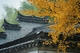 璟园 (23)