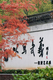 以写武义 (1)