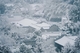璟园 (14)