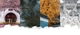 banner1