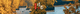 旅游指南banner