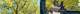 招商banner