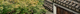 招商banner