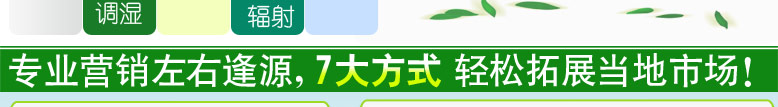 index_17.jpg