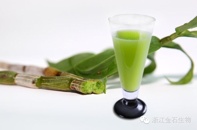 石斛枫斗泡水嚼后有渣-铁皮石斛干货泡水后渣