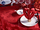 中国红婚宴桌布-