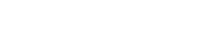 国宾接待
