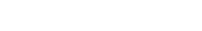 国宾接待