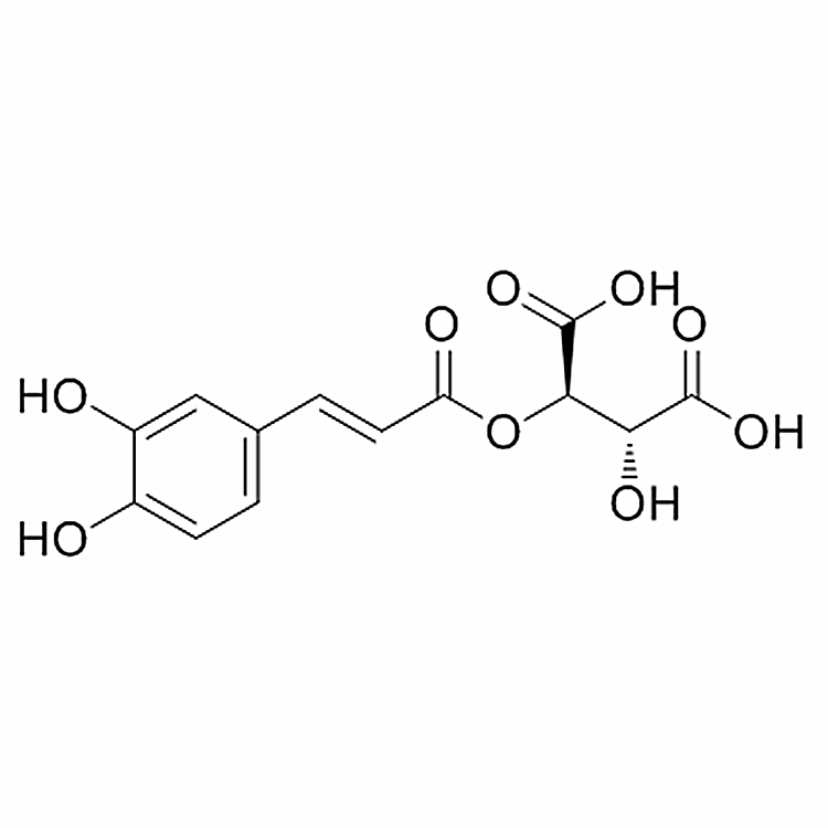 单咖啡酰酒石酸