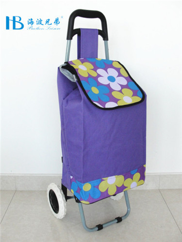 普通柄便携购物车