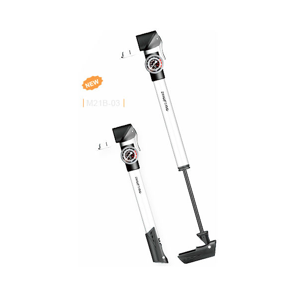 multi-function pump_pedal type pump_portable pump_a pump with a